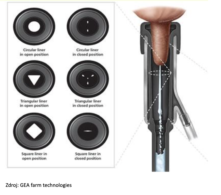 Tvary a konstrukce strukových návleček_MP